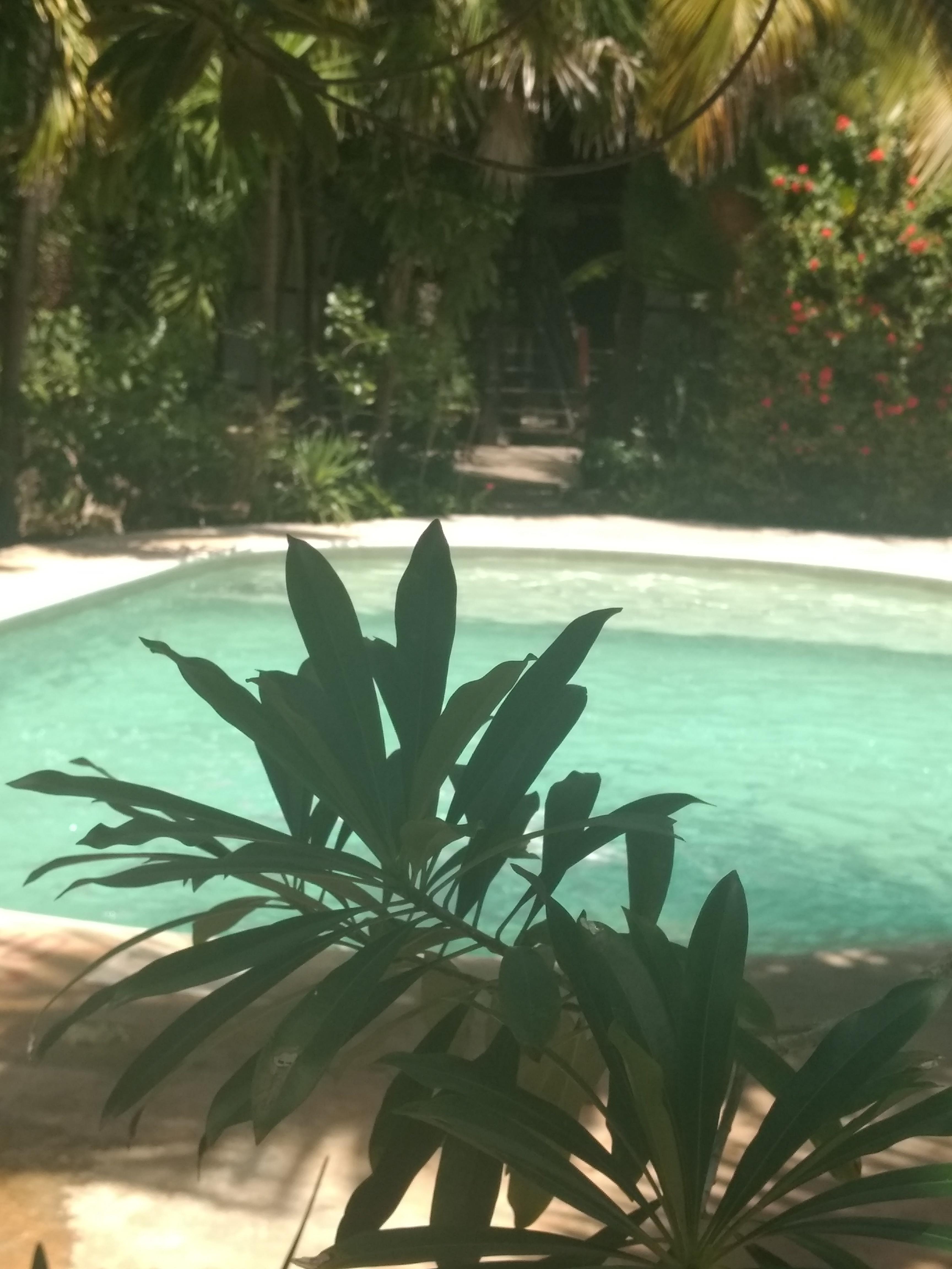 Green Tulum Cabanas & Gardens Bagian luar foto