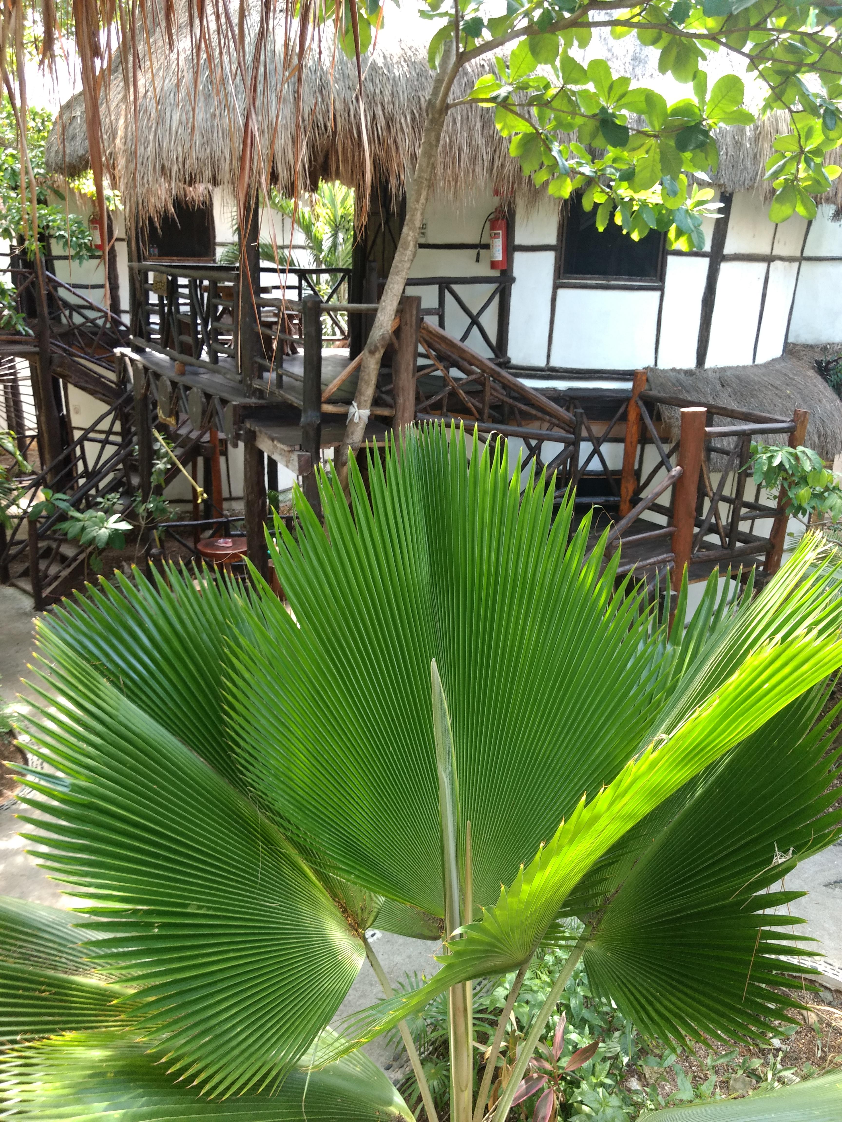 Green Tulum Cabanas & Gardens Bagian luar foto